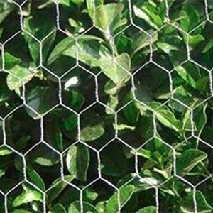 Dingzhou Five-Star Metals 3mm malla pollo galvanizado valla <span class=keywords><strong>de</strong></span> <span class=keywords><strong>alambre</strong></span> <span class=keywords><strong>de</strong></span> pua galvanizado 18 - Product Image 2