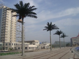 Sống động như thật khổng lồ nhiệt đới Faux cây cọ lá lớn nhân tạo cong cây cọ dừa để bán cho khách sạn trung tâm mua sắm trang trí nội thất - Product Image 6