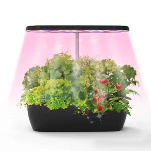 Indoor Wasserkultur-Anbau-System-Kit tragbar selbst bewässernd intelligenter Pflanzer Desktop Wasserkultur-Kräuter Garten