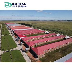 Eenvoudig Geassembleerde Structurele Stalen Veehouderij Gecontroleerde Pluimveeschuur - Product Image 5
