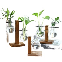 Nouveau Style rétro plantation hydroponique avec support en bois Air planteur ampoule Vase maison jardin bureau Station de Propagation utilisé bonsaï