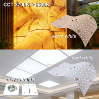 Feuille LED Flexible Personnalisable CCT 2700K~6500K Blanc Tunable DC24V Panneau Lumineux 480x240mm 400 LED pour Panneau Publicitaire Commercial