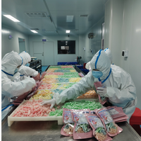 Sachets refermables de 17,6 oz en forme d'astronaute, confiseries en cire aux saveurs de fruits assorties, friandises pour fêtes d'enfants, qualité alimentaire, marque privée