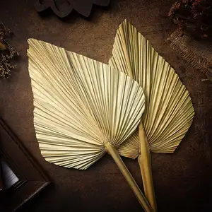 Offre Spéciale décoratif feuilles de palmier séchées conservées bouquet d'éventail en gros pour la décoration de maison de mariage