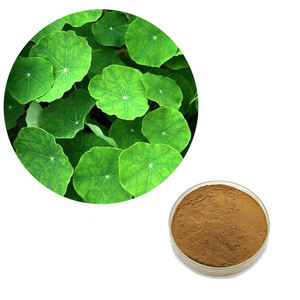 HONGDA-extracto de Centella Asiaticoside, extracto de Centella asiática, precio - Product Image 3