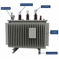Transformateur de puissance immergé dans l'huile triphasé Wanbo-420 Wanbo S11 400 kVA 10 kV 0,4 kV pour la distribution