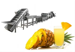 VBJX Ligne de production complète en conserve de jus d'agrumes, de pastèque, de raisin, de gingembre, de banane et de tomate à petite échelle Ligne de production de jus Nfc