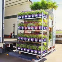 Chariot de jardinage danois à quatre roues en acier inoxydable, capacité 400 kg, conteneur à roulettes, thermolaqué, pour fleurs et jardins, OEM