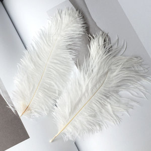 Plumes d'autruche 15-20cm pour décorations murales <span class=keywords><strong>de</strong></span> mariage DIY Plumes Bouquets Motif brut Plumes <span class=keywords><strong>de</strong></span> carnaval Vente en gros en stock - Product Image 6