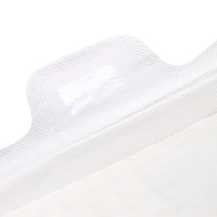 Produits d'hygiène féminine en gros, échantillon gratuit, serviettes hygiéniques en coton Airiz pour femmes, protège-slips