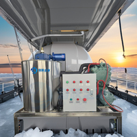Máquina de Hielo en Escamas de Agua de Mar de 1 Tonelada Haiyue Industrial con Evaporador de Acero Inoxidable SS 304L/316L y Compresor Emerson, Certificación CE e ISO9001