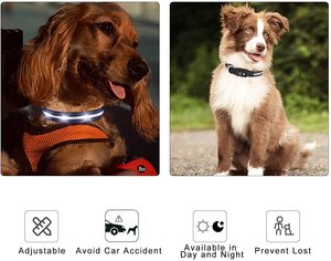 Großhandel USB Wiederaufladbares Wasserdichtes Leuchtendes Haustier-Sicherheitshalsband Verstellbares Aufleuchtendes Blinkendes Hunde-LED-Halsband - Product Image 4