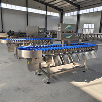Hoge Kwaliteit Bosbessen Sorteermachine Fruit Sorteermachine Sorteermachine