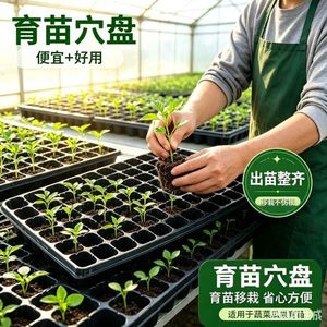Plateau de semis en plastique <span class=keywords><strong>PVC</strong></span> pour la culture du riz, des semis et des plantes en serre agricole - Product Image 6