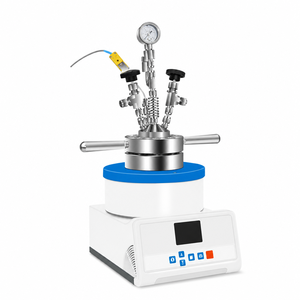 Réacteur à haute pression à entraînement magnétique 500 ml 12,5 MPa 280 ° Cuve <span class=keywords><strong>de</strong></span> réaction <span class=keywords><strong>de</strong></span> laboratoire sans fuite pour la recherche chimique sur les nanomatériaux - Product Image 1