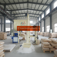 Ligne de production de peinture thermoplastique pour marquage routier avec mélangeur à ruban horizontal pour le marquage des lignes autoroutières