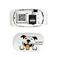 Traceur GPS 4G pour animaux de compagnie, localisateur de chien et de chat en temps réel, étanche, anti-perte, dispositif de suivi, charge magnétique
