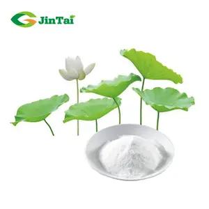 Natural nuciferine 2% ~ 98% bubuk ekstrak daun lotus