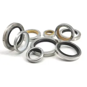 Double/Singel Air Compressor PTFE Coating Lip Rotary Shaft PTFE Lip Oil Seal Stainless Steel Oil Seal PTFE Oil Seal