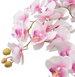 Doğal gerçek dokunmatik lateks çiçekler, yapay çiçekler, phalaenopsis mobilya, ofis dekorasyon çiçekler