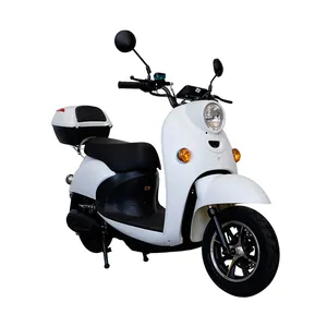Milg CE vélo électrique chaud petit scooter électrique motos 2 places pas besoin de permis
