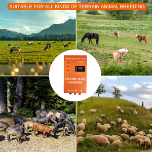 เครื่องกำเนิดไฟฟ้าแรงสูงแบบพกพาสำหรับรั้วขนาดเล็ก ผลิตตามสั่งจากโรงงาน ใช้สำหรับสัตว์เล็กและป้องกันการโจรกรรม - Product Image 6