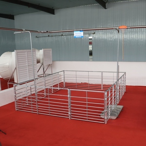 Equipo de granja de cerdos de China <span class=keywords><strong>Comprar</strong></span> caja de lechones Cerca de cerdo Tubo galvanizado por inmersión en caliente Maquinaria para ganado Máquina de cerdo - Product Image 5