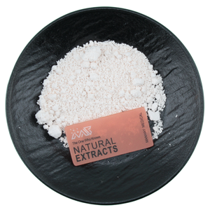 Manhay Fornisce Polvere di Acido Clorogenico di Alta Qualità 1%-98% per Proprietà Anti-infiammatorie - Product Image 1