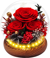 Rote Konservierte Rose unter Glaskuppel Ewige Blume Romantische Heimdekoration Geschenk für Frauen Hochzeitsdekoration Hochzeitsblumen