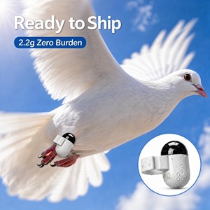 <span class=keywords><strong>Traceur</strong></span> compact 2,2 g pour fauves et rapaces, avec étanchéité IP67 et batterie de 45 mAh, pour les équipes d'étude de la faune. - Product Image 1
