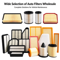 Mesin Mobil Pabrik untuk Geely OEM 1016014789 Chrysler JEEP 04861688AA Filter Udara Elelment Air Intake Serat Karbon untuk Bmw 320i