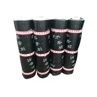 China Made Non Asphalt Base SBS Bitumen PE PVC Hoch polymer Abdichtung stech nik Membran Roll Sheet Coiled Produktions linie