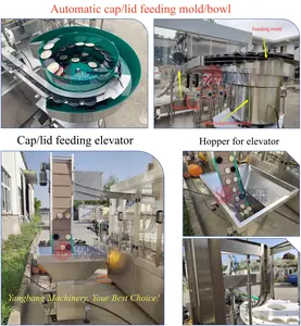 Automatic Servo Piston Pump Tomato Sauce Chili Sauce Filling And Capping Machine Line