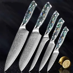 Custom Logo 5pcs Japanese VG10 Damascus Steel Chef Knife With Abalone Shell Handle Damascus Kitchen Knife Set