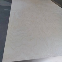 Fabricant de contreplaqué Shandong Linyi marine/meubles en contreplaqué imperméable/contreplaqué de bouleau 3mm/18mm
