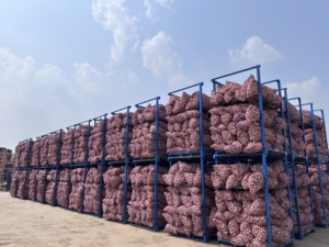 10kg Tỏi Trung Quốc đóng bao lưới, nhà cung cấp bán buôn, chất lượng cao, rau củ tươi, giá rẻ, bán buôn số lượng lớn, giá rẻ - Product Image 6