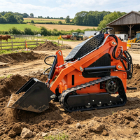 Mini-chargeuse sur chenilles diesel pour extérieur et ferme, 200kg, 300kg, 600kg, livraison gratuite, à vendre