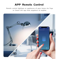 Mini Interrupteur Intelligent Tuya 16A Wifi+RF433Mhz pour Smart Life, Relais Temporisateur de Contrôle 2 Voies, Automatisation Sans Fil Compatible Alexa Google Home
