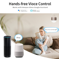 Touchmi Interrupteurs Muraux Intelligents Wi-Fi Tuya pour la Maison Connectée (US/Europe) - Vente en Gros