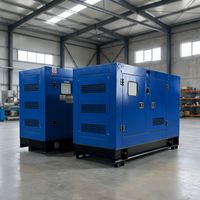 Générateur diesel silencieux 20 kW, insonorisé, triphasé, pour la maison, avec ATS, démarrage automatique, refroidissement par eau, 220 V