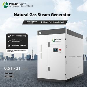 天然气0.5吨蒸汽发生器全预混2吨工业蒸汽锅炉干燥杀菌水管无年度 - Product Image 5