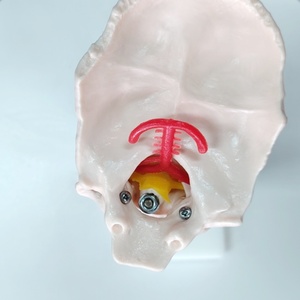 Colonne vertébrale cervicale DARHMMY avec modèle de <span class=keywords><strong>squelette</strong></span> scientifique médical de l'artère <span class=keywords><strong>du</strong></span> <span class=keywords><strong>cou</strong></span> - Product Image 6