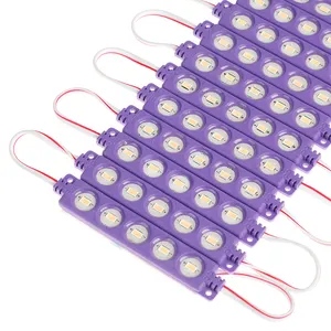 Módulos PurpleLED DC24V 1,2 W, 5 chips a todo Color, módulos de luz LED, módulo de inyección
