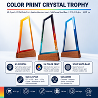 Trofeo de Cristal Personalizado con Base de Madera Sólida, Grabado Láser, Impresión HD, Premio Anual para Empleados Campeones, Venta al Por Mayor