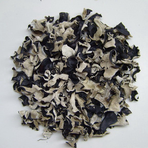 Nấm Cây Ăn Được Màu Đen Chất Lượng Cao Trung Quốc Thực Sự Nhỏ Khỏe Mạnh Mới Khô Bằng Gỗ Tự Nhiên - Product Image 4