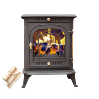 Poêle en fonte Insert Cheminée à bois Chauffage Verre vue Poêle à bois Intérieur Moderne Pellet Extérieur