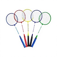 Raquette de badminton pour débutants, niveau d'entrée, loisirs en plein air, entraînement, alliage léger, design à tête fendue, rigidité modérée