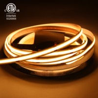 Raymates Flex, bande LED COB à découpe libre, émission lumineuse uniforme, personnalisable, 480 LED, 24 V, 0 mm, pour éclairage décoratif