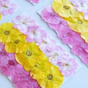 Flor prensada surtida Sakura/Persian Buttercup/Begonia - Product Image 3