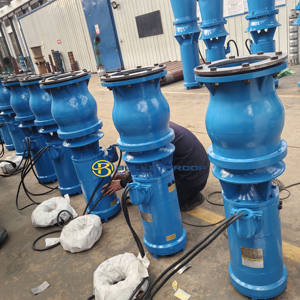 Bomba Sumergible de Flujo Mixto Axial de 500 M/h, 380V/440V, 3 Fases, 50/60Hz, para Transporte de Aguas Residuales y Control de Inundaciones, Hecho en China - Product Image 6